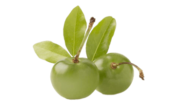 acerola