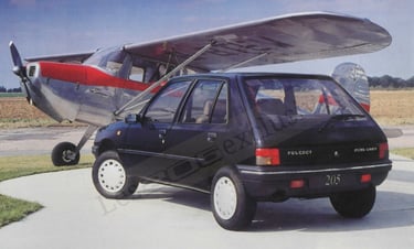 Brochure Peugeot 205 GRDT