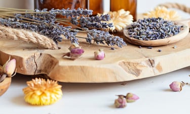 digestion sibo stress fatigue naturopathe Yvelines Vaucresson Hauts de seine Versailles