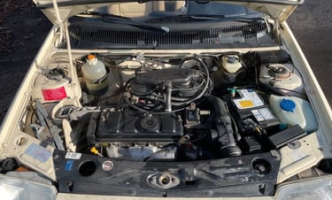 moteur Peugeot 205 indiana à injection