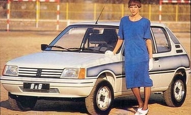 Peugeot 205 B&G 