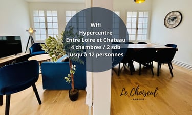 Gite à Amboise sous le château 