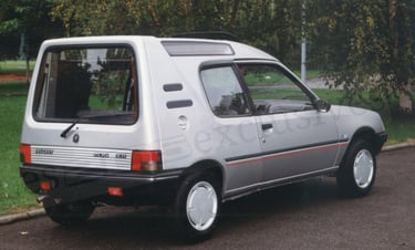 Peugeot 205 Multi Evolution Vitrée