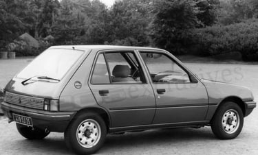 peugeot 205 SRD