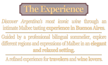 The Experience section – Aureo Malbec intimate wine tasting in Buenos Aires led by a bilingual sommelier