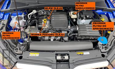 Płyny znajdujące się pod maską skoda fabia