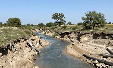 worm's-eye view photography of concrete building