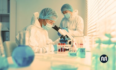 AI Is Quietly Closing the Door on Entry-Level Jobs for Young Workers