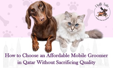 Affordable Mobile Pet Grooming in Doha: How to Choose Quality