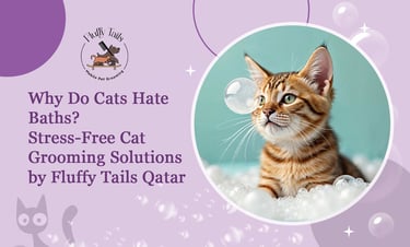 Why Do Cats Hate Baths Stress-Free Cat Grooming Solutions by Fluffy Tails Qatar