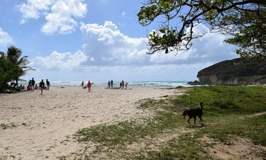 gwosable voyage france guadeloupe