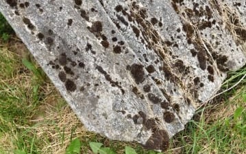 Asbestos Cement Removal Cost