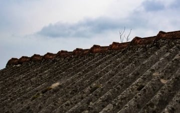 Asbestos Roof Removal Cost