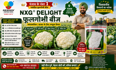 Nexgen Seeds के NXG® DELIGHT फूलगोभी बीज का विज्ञापन पोस्टर, जिसमें कंपनी का लोगो, 100 ग्राम बीज टिन