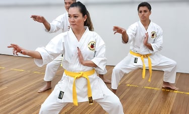 Kenyukan Goju Ryu Karate