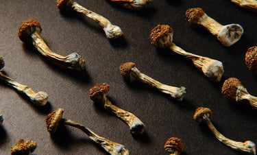 A high-angle pattern of dried psilocybin magic mushrooms with brown caps on a dark background.