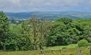 View from Tŵr-Ffoledd near Llanwrtyd Wells