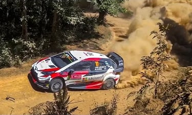 WRC Rally de Portugal 2019 Lousã