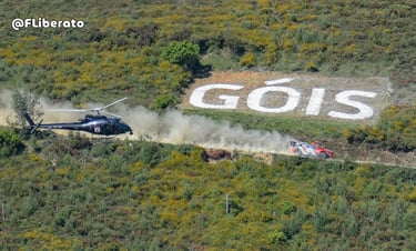 WRC Rally de Portugal 2024 Góis Mimosa