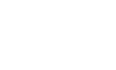 Logo hygiene-precision