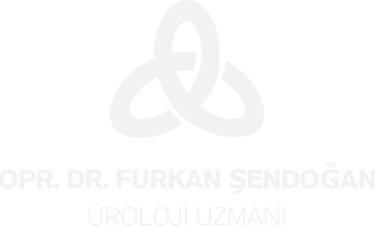 Furkan Şendoğan
