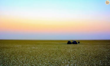Camping on the white salt bed of Sambhar Lake at twilight.