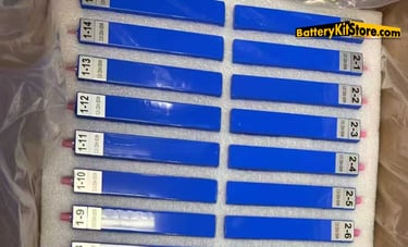 detail of prismatic battery cells