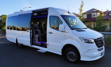 إيجار باص سياحي للعوائل الكبيره و المجموعات  مرسيدس سبرنتر فى النمسا 