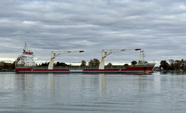 Right side profile of a gray and red cargo ship with large deck cranes, passing by some trees.