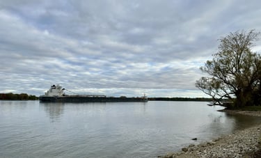 A black and white freighter passing a stony beach with a tree off to the side.