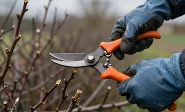 Close-up of gloved hands using hedge shears on overgrown shrubs, overcast daylight, clipped branches visible on the ground below, tight environmental framing
