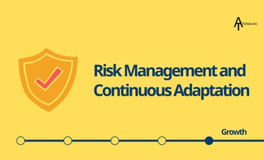 Asia Market Entry Strategies | Risk Management and Continuous Adaptation | ToAsia.biz