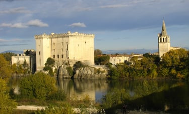 video et photo  tarascon