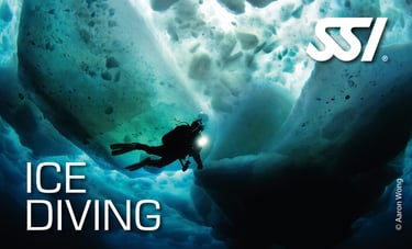 a person in a wetsuit is diving in the water