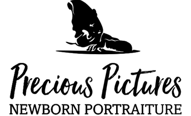 precious pictures newborn portraiture 