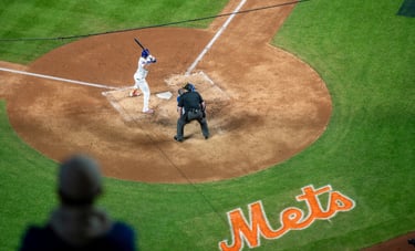mets player during an at-bat in the batters box with the mlb umpire at citifield