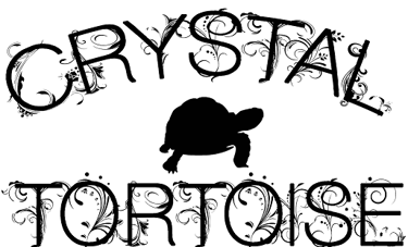 a turtle turtle turtle turtle turtle turtle turtle turtle turtle turtle turtle turtle turtle turtle turtle