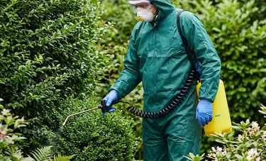 Wasp nest removal expert treating insects in hedge