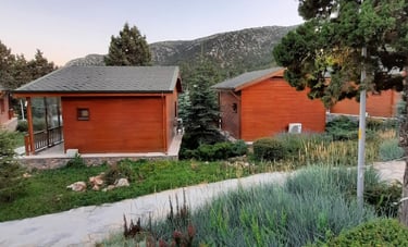 Bağbaşı Yaylası Bungalov Evleri