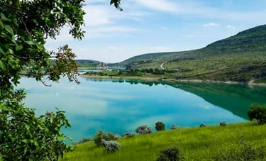 Silvan Gezi Rehberi
