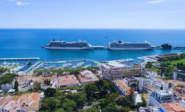 vista dos navios de cruzeiro ancorados em Funchal