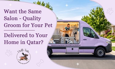 Salon-Quality Mobile Pet Grooming at Home in Qatar  Fluffy Tails Doha