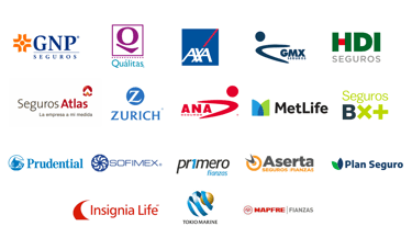 empresas que maneja zinergia