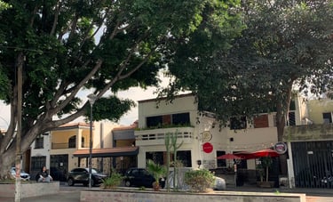 Street with a house and a tree