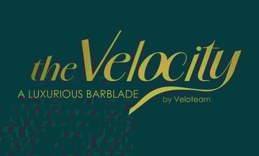 Logo the Velocity