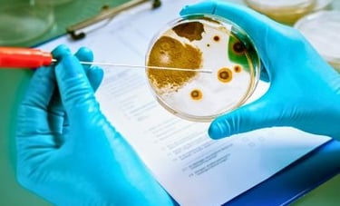 Mold sample in lab