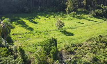 compensação ambiental