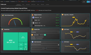 traderwize crypto and investment