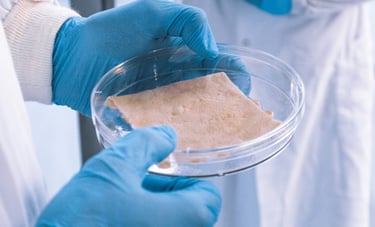Human skin tissues from CTIBIOTECH biobank biosourcing