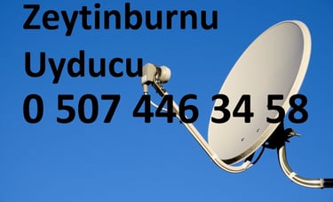 zeytinburnu uyducu çanak anten ayarı televizyon servisi